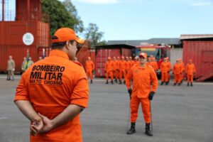 As principais características dos mamíferos pré-históricos e suas adaptações ao ambiente