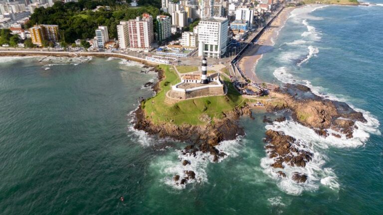 Como os fósseis de mamíferos marinhos revelam segredos das vidas aquáticas do passado
