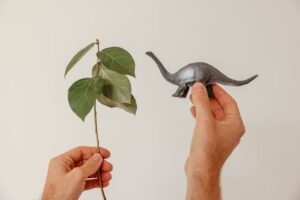 Entendendo a relação simbiótica entre fósseis de plantas e dinossauros: como isso moldou ecossistemas pré-históricos