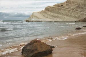 Guia completo de como identificar fósseis marinhos e suas implicações na paleontologia
