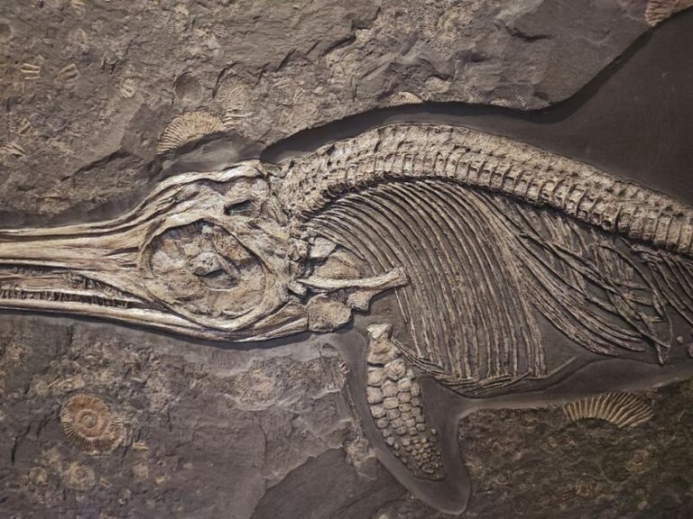 Os mistérios dos dinossauros aquáticos: como a paleontologia explica suas adaptações e estilos de vida