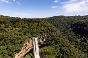 Os principais fósseis de dinossauros da América do Sul e o que eles revelam sobre a biodiversidade do continente