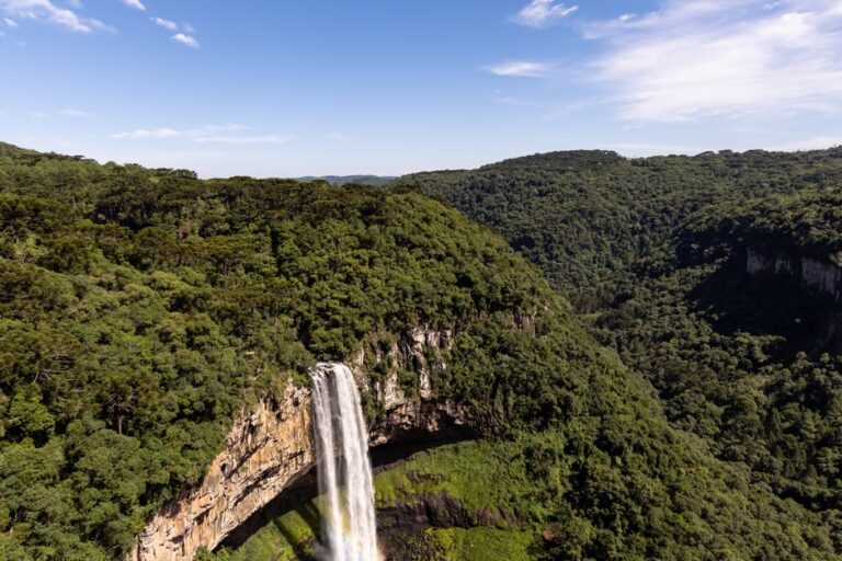Os principais fósseis de dinossauros da América do Sul e o que eles revelam sobre a biodiversidade do continente