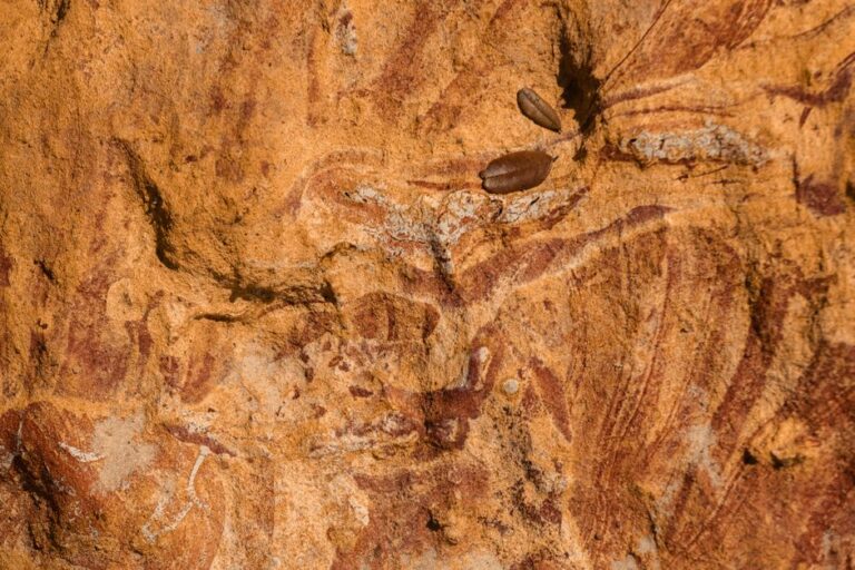 Os segredos dos fósseis de plantas pré-históricas: como eles revelam o clima da Terra antiga