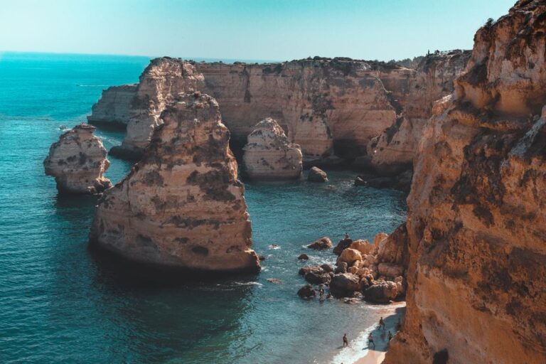 Os Mistérios das Criaturas Marinhas Pré-históricas: Como Elas Sobreviveram em Ambientes Extremos